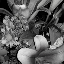 foto d'un ram de flors